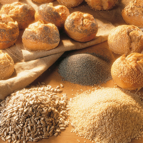 Image for GRAINES DE TOURNESOL