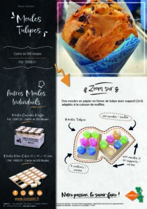 0000_MouleTulipes.pdf