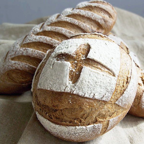 pain KOMPLET NOVEM SEIGLE