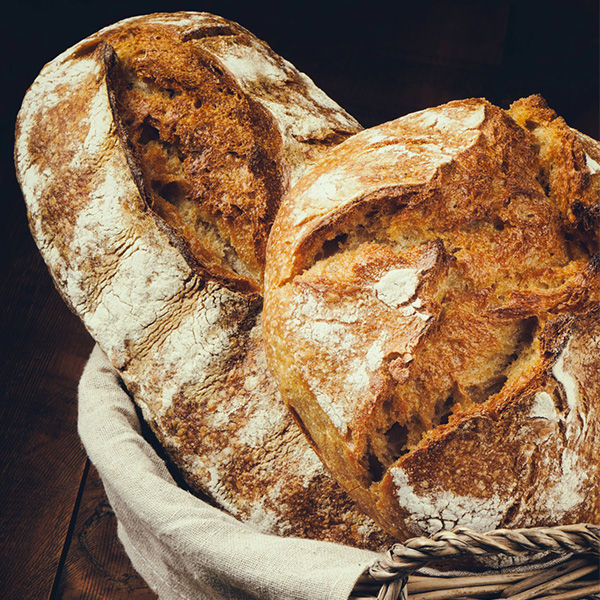 komplet pain PAINFORT