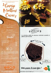 0000_fiche produit gamip moelleux cacao.pdf