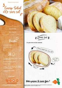 0000_fiche produit gamip soleil dor sans sel.pdf